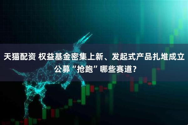 天猫配资 权益基金密集上新、发起式产品扎堆成立 公募“抢跑”哪些赛道？